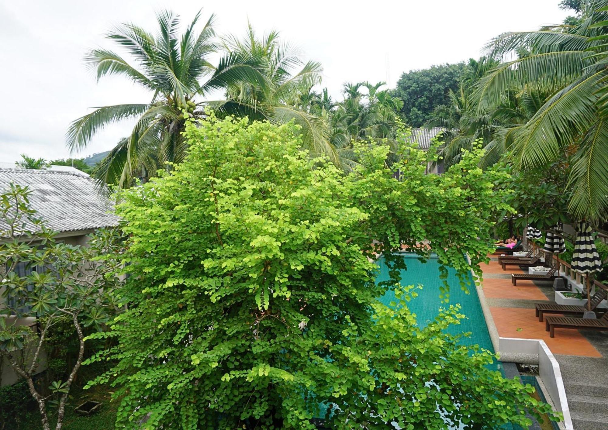 Signature Phuket Resort Chalong Esterno foto